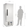 Positive Kühlschrank 1 Tür Slimline Serie G - 440L- Polar