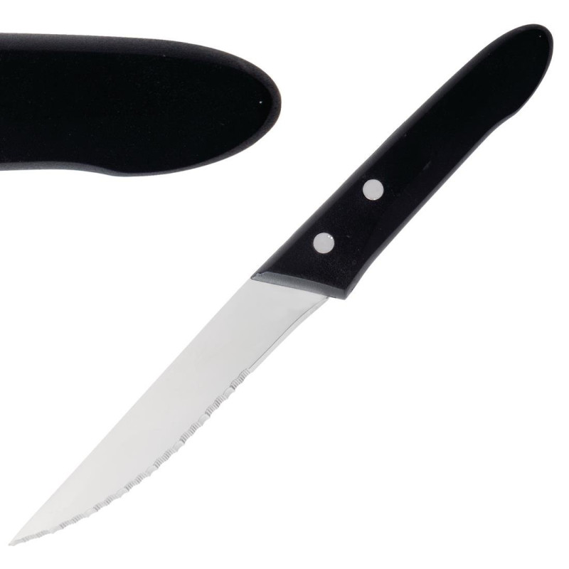 Couteau À Steak - 250mm - Lot de 12 - DEGLON Couteau À Steak - 250mm - Lot de 12 - DEGLON