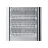 Gefrierschrank 400 L mit Glastür Umluftkühlung -18/-22°C