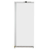 Gefrierschrank 590 L Umluftkühlung -18/-22°C