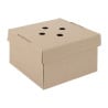 Faltbare quadratische Burgerboxen - Set von 100 - Fiesta Green