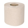 Recycled Toilet Paper Rolls 2 Ply 320 Sheets - Pack of 36 - Jantex