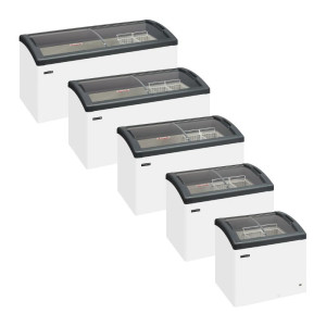 Ice Cream Freezer - 270 L - TEFCOLD