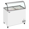Ice Cream Freezer - 296 L - TEFCOLD