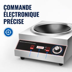 Induktionswok Pro 3500 W Edelstahl — Konkave Zone Ø227