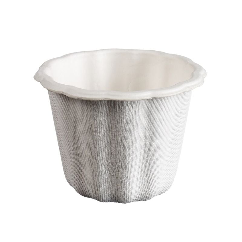Verrine Cannele in Zuckerrohrpulpe - 64 ml - Packung mit 50 Verrine Cannele in Zuckerrohrpulpe - 64 ml - Packung mit 50
