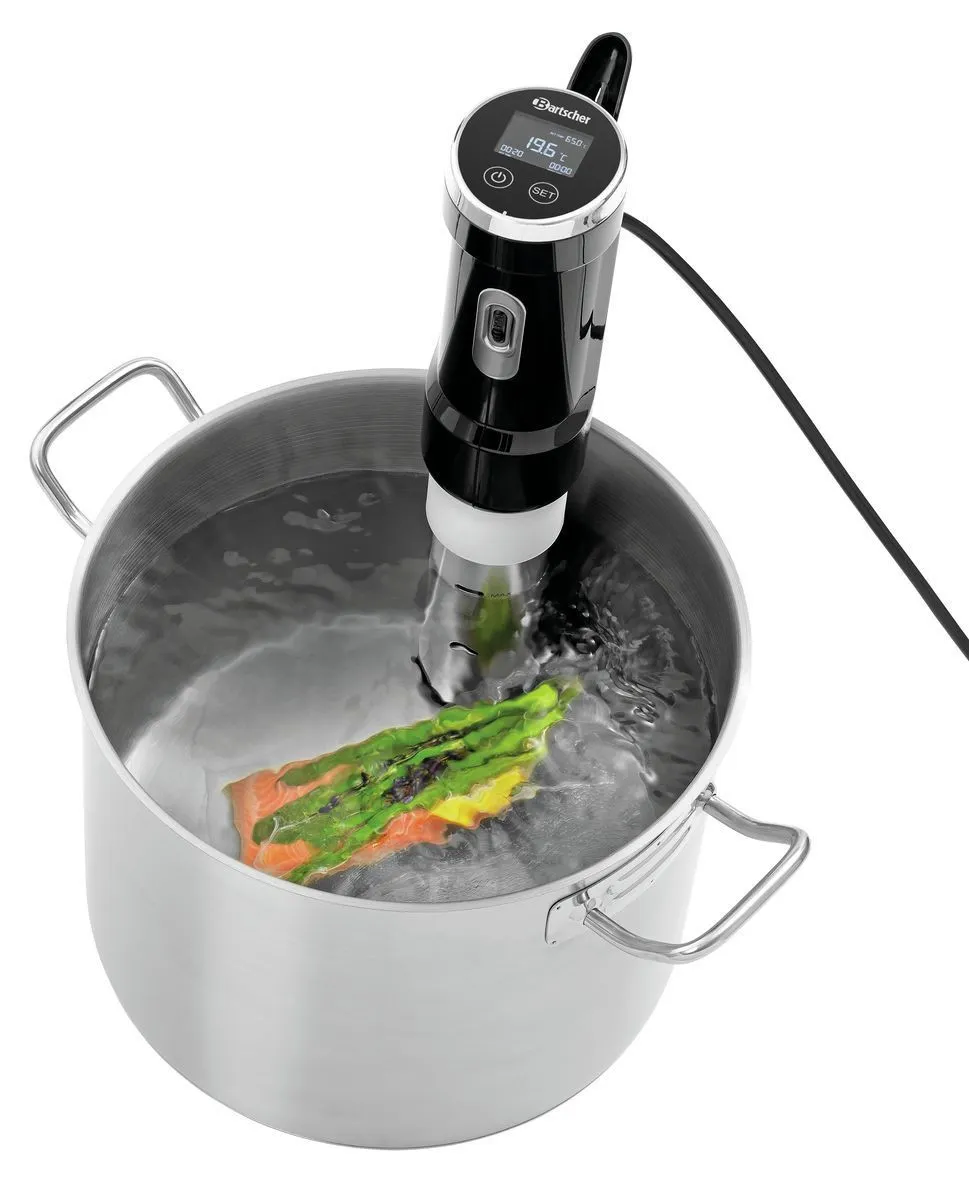 Thermoplongeur Cuiseur Sous Vide