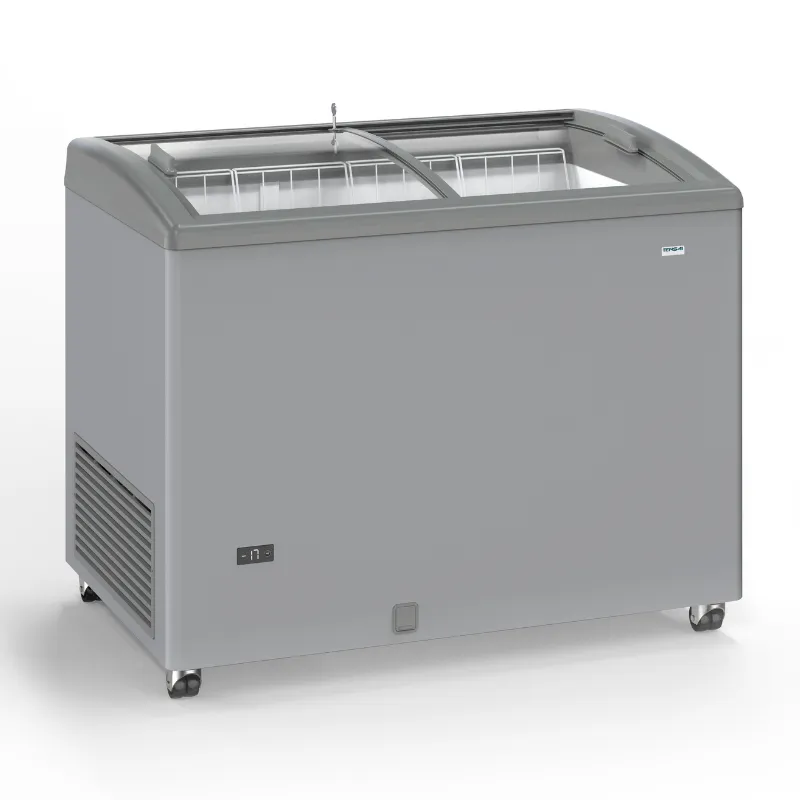Gefrierschrank Edelstahloptik mit Glasschiebetüren - 300 L
