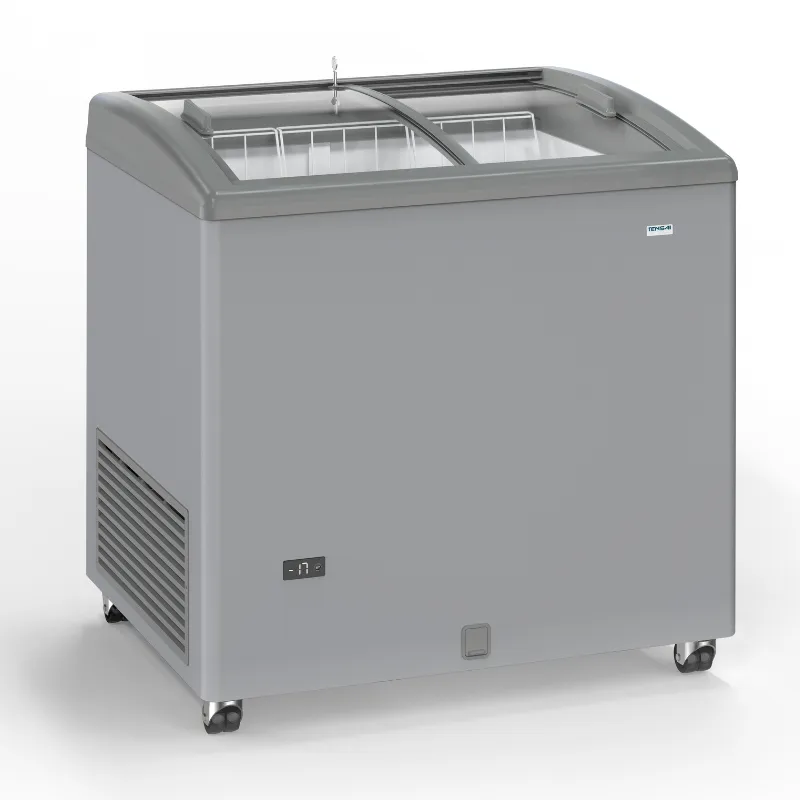 Congélateur Aspect Inox à Portes Coulissantes Vitrées - 170 L
