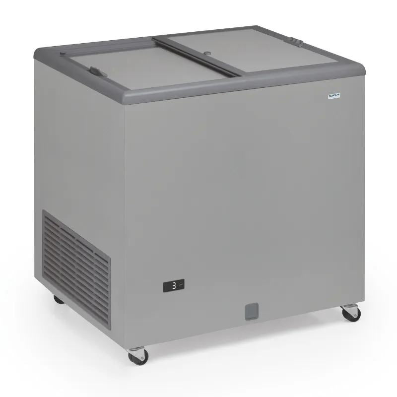 Professionelle Gefriertruhe Edelstahloptik und undurchsichtiger Deckel - 220 L