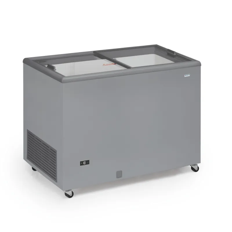 Congélateur Portes Coulissantes Vitrées - 300  L