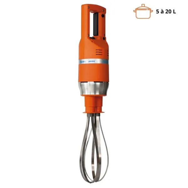 Mixer Master Schneebesen - generalüberholt